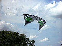 2008 KiteFestival-005.jpg